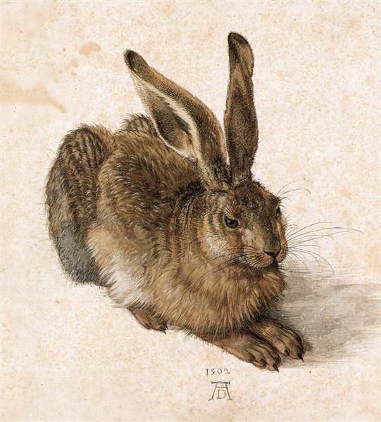 Le Lièvre de Albrecht Dürer est une Aquarelle sur Papier de 25.1 x 22.6 cm de 1502 ©Wikiart