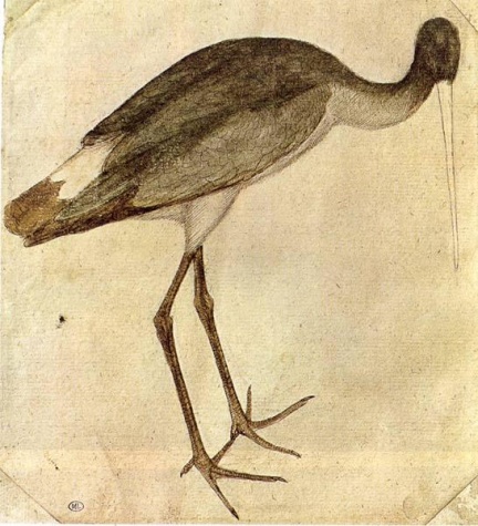 Cigogne de Pisanello date de 1430 ©Wiki-art