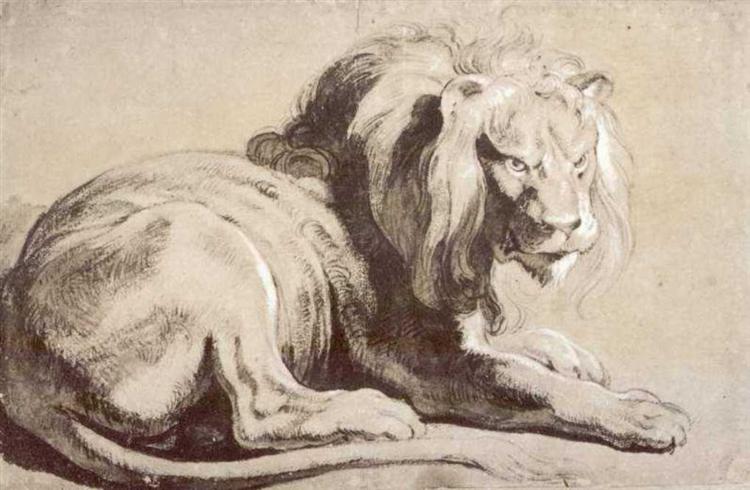 Etude sur le lion de Pierre Paul Rubens en 1620 ©Wiki-art