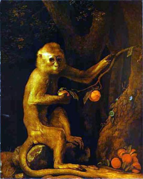 Portrait d'un Singe de George Stubbs est une Peinture à l Huile sur Toile de 60.3 x 70.5 cm datant de 1774 ©Wiki-art